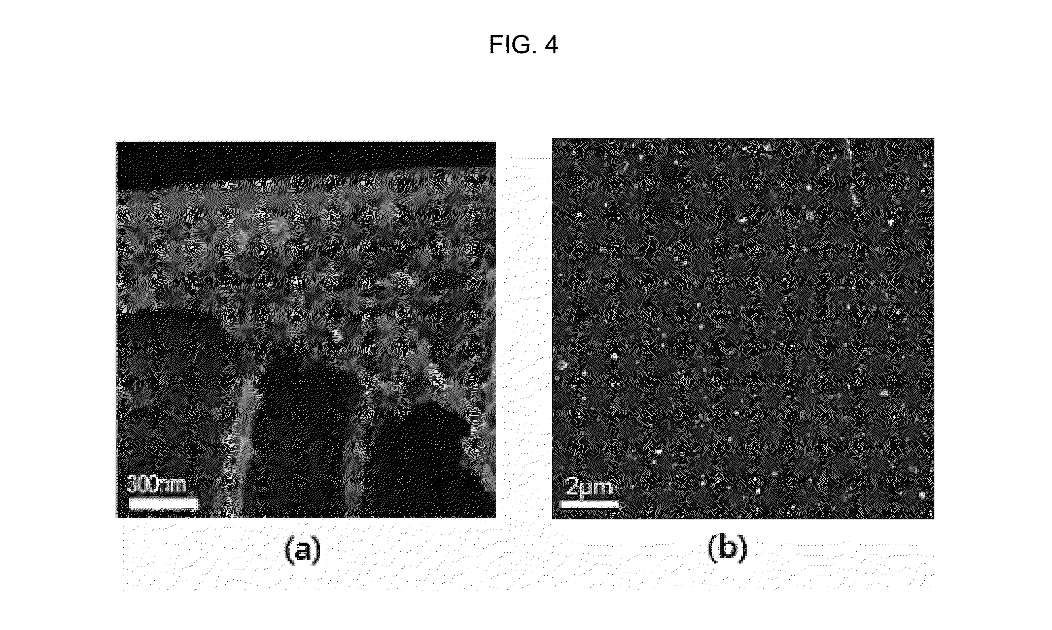 Membranes having antibiotic and hydrophilic properties and preparation method thereof