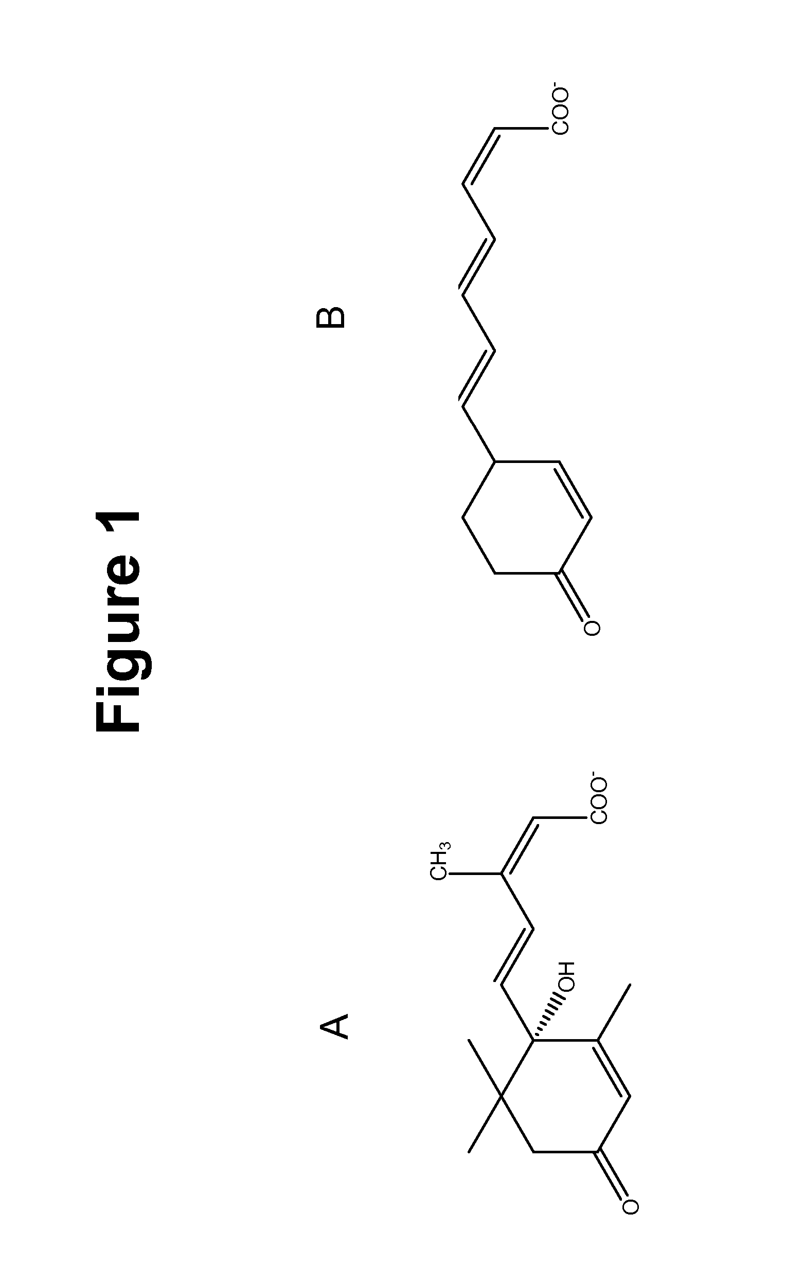 Method of using abscisic acid to treat diseases and disorders