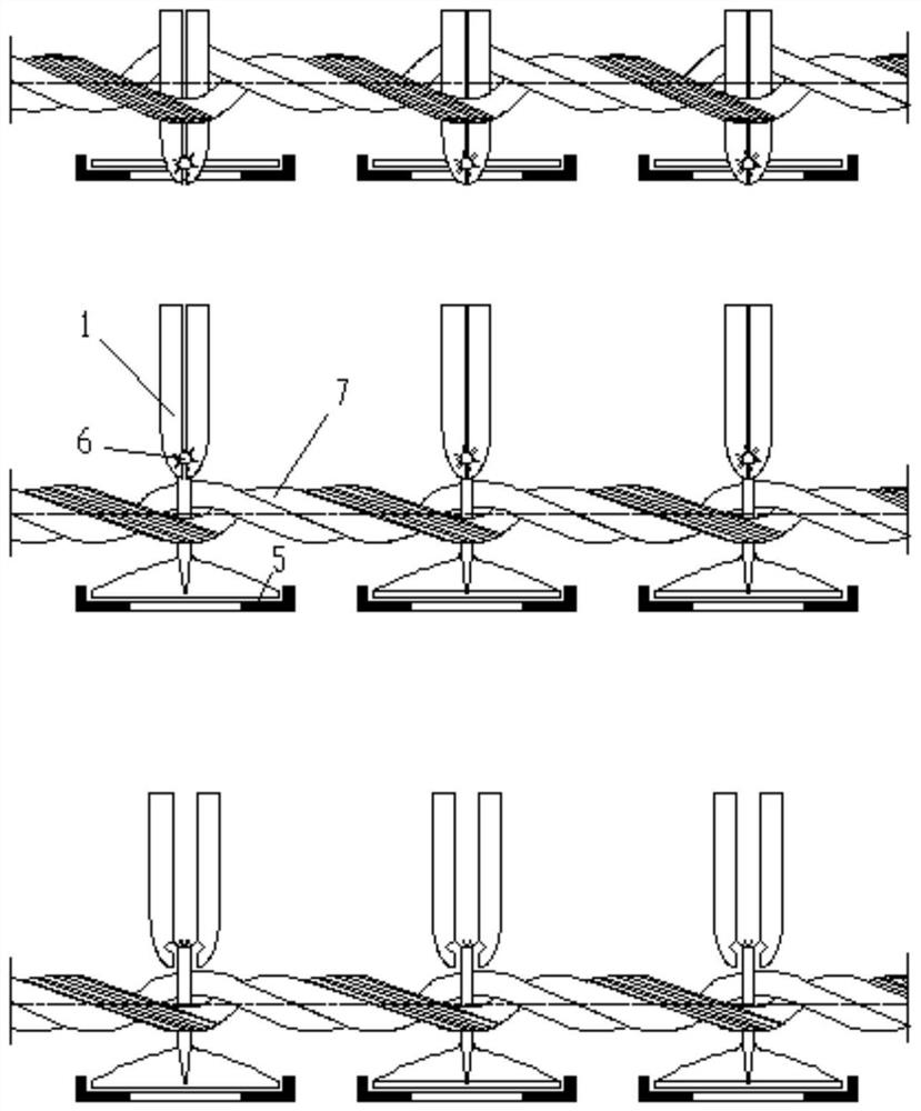 Device and method for vertically clamping seedlings of kelp in rows