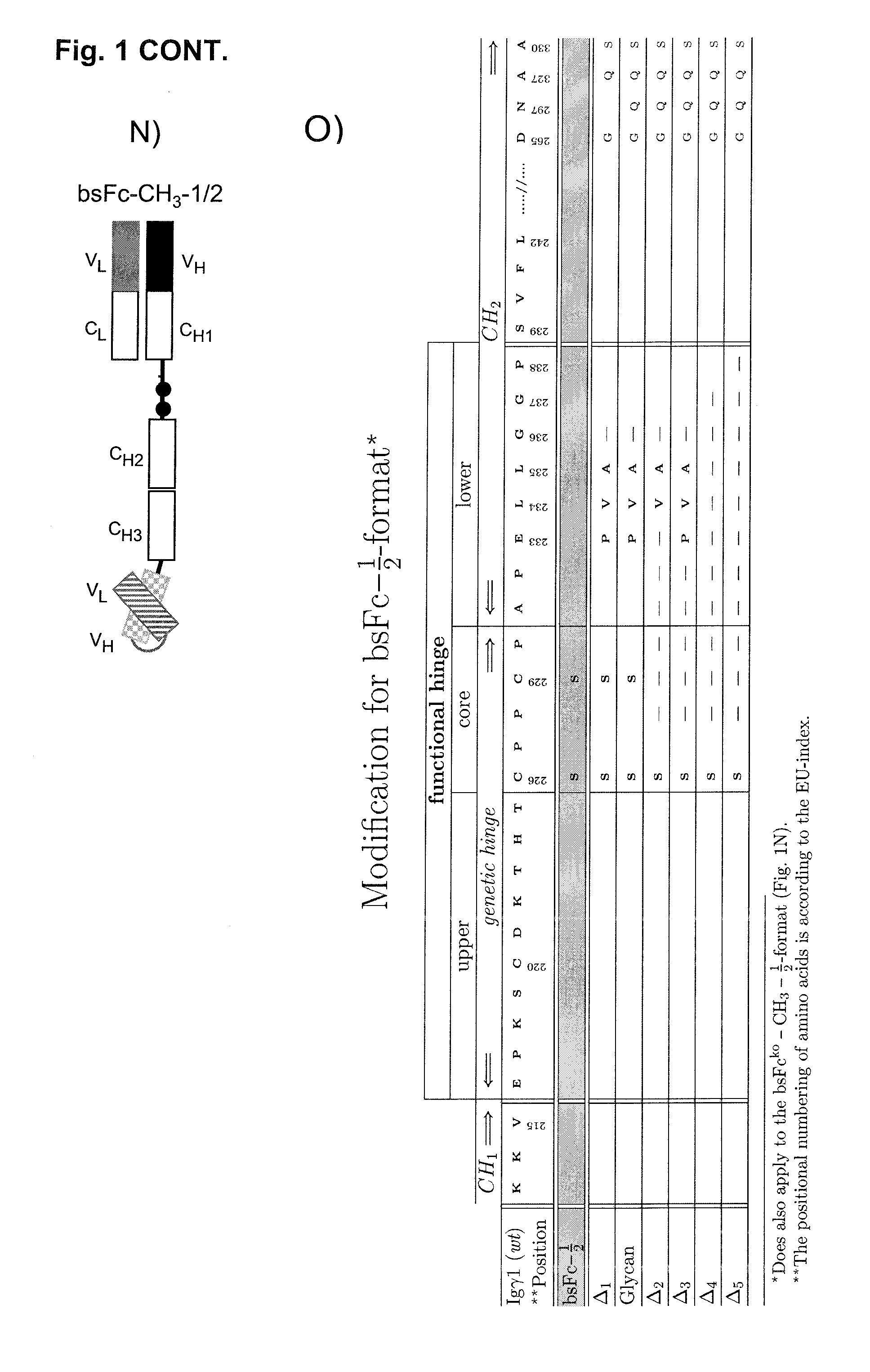 Bispecific antibody molecule