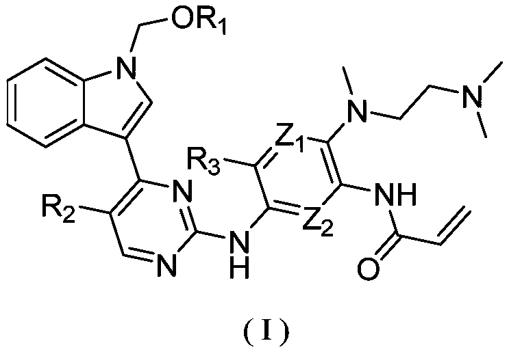 2-(2,4,5-substituted anilino)pyrimidine compound and application thereof