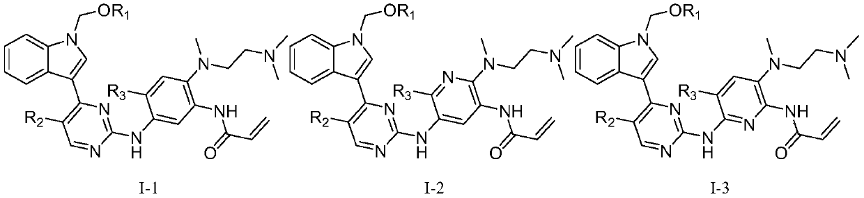 2-(2,4,5-substituted anilino)pyrimidine compound and application thereof