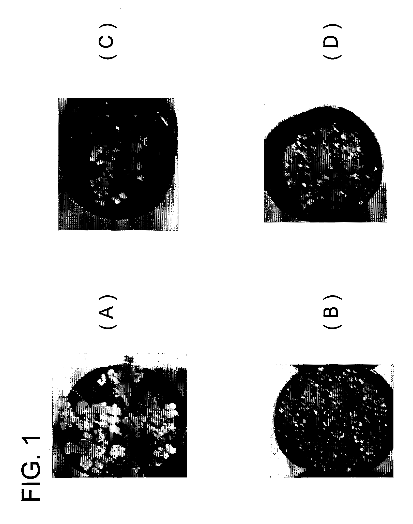 Particulate water retaining material for cultivating plant having water absorbent resin as main component