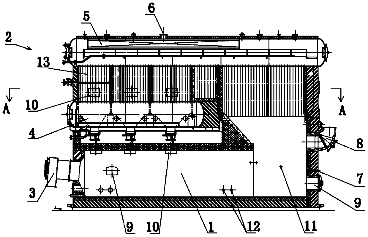 Steam boiler combusting biomass gas