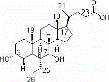 Method for preparing chenodeoxycholic acid analogue