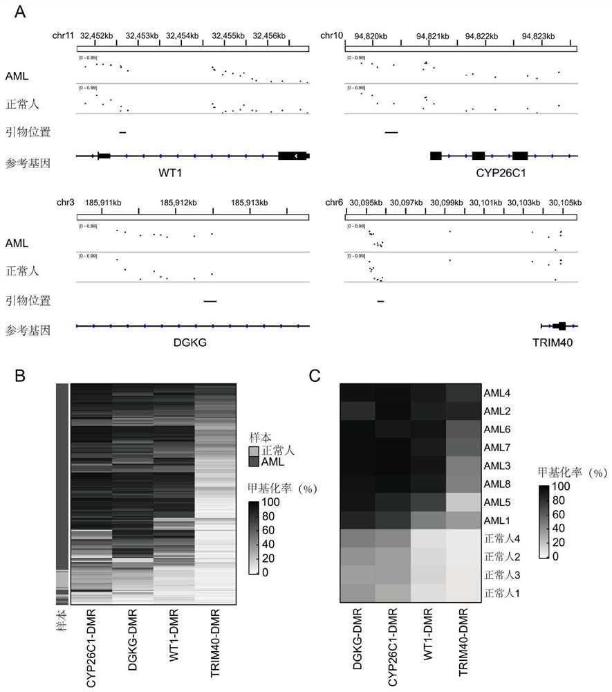 Novel diagnostic method of acute myeloid leukemia and application thereof