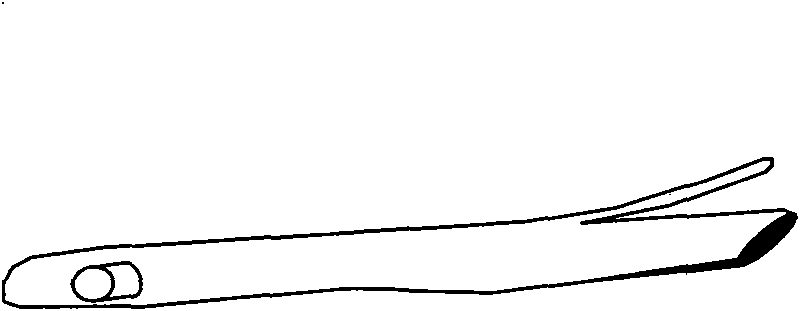 Chinese character hu-shaped grafting and final-period management methods for Dalbergia odorifera