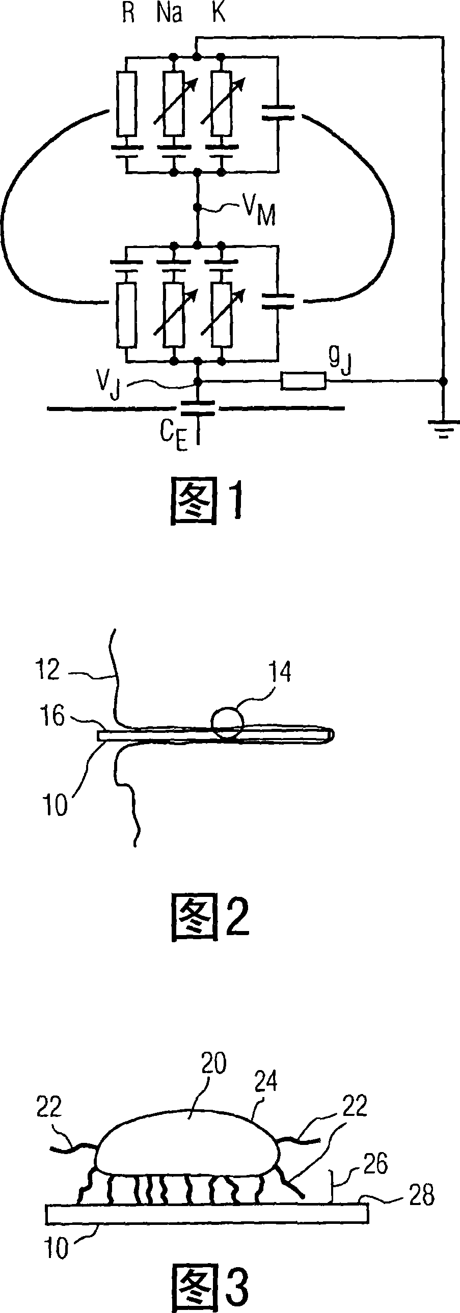 Apparatus and method for coupling implanted electrodes to nervous tissue