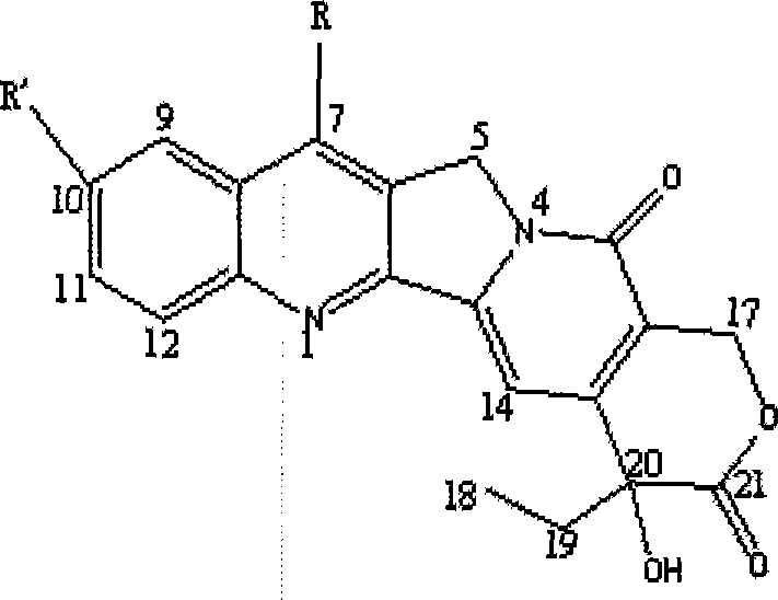 Combination of mPEG-PLA-tree alkali medicament