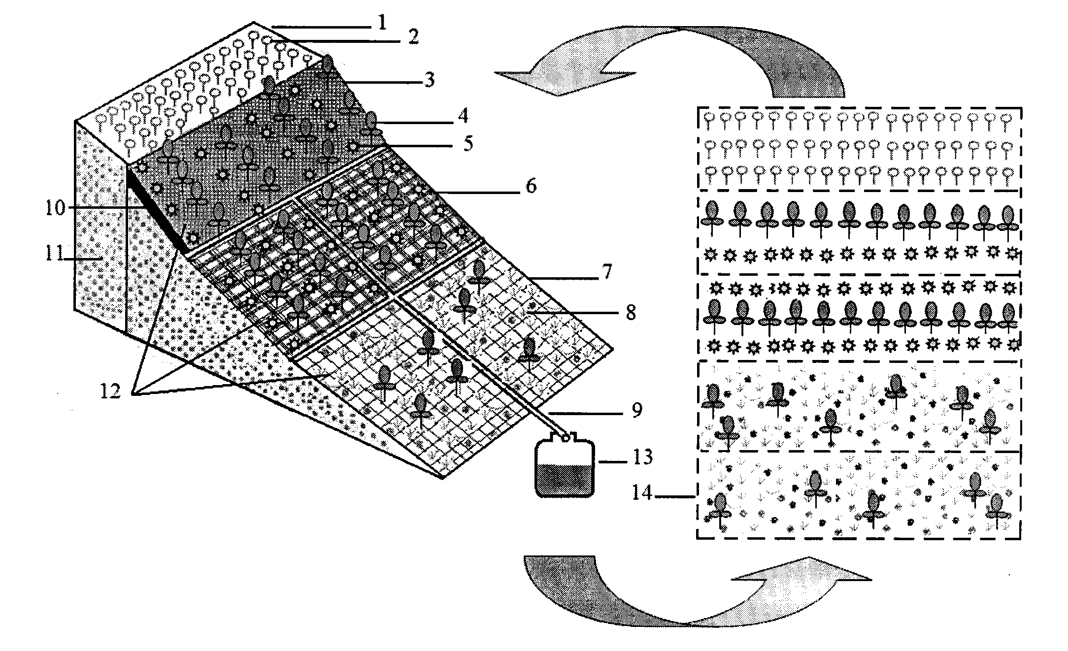 Method of cyclic sustainable vegetation recovery for waste dump of grassland mining area