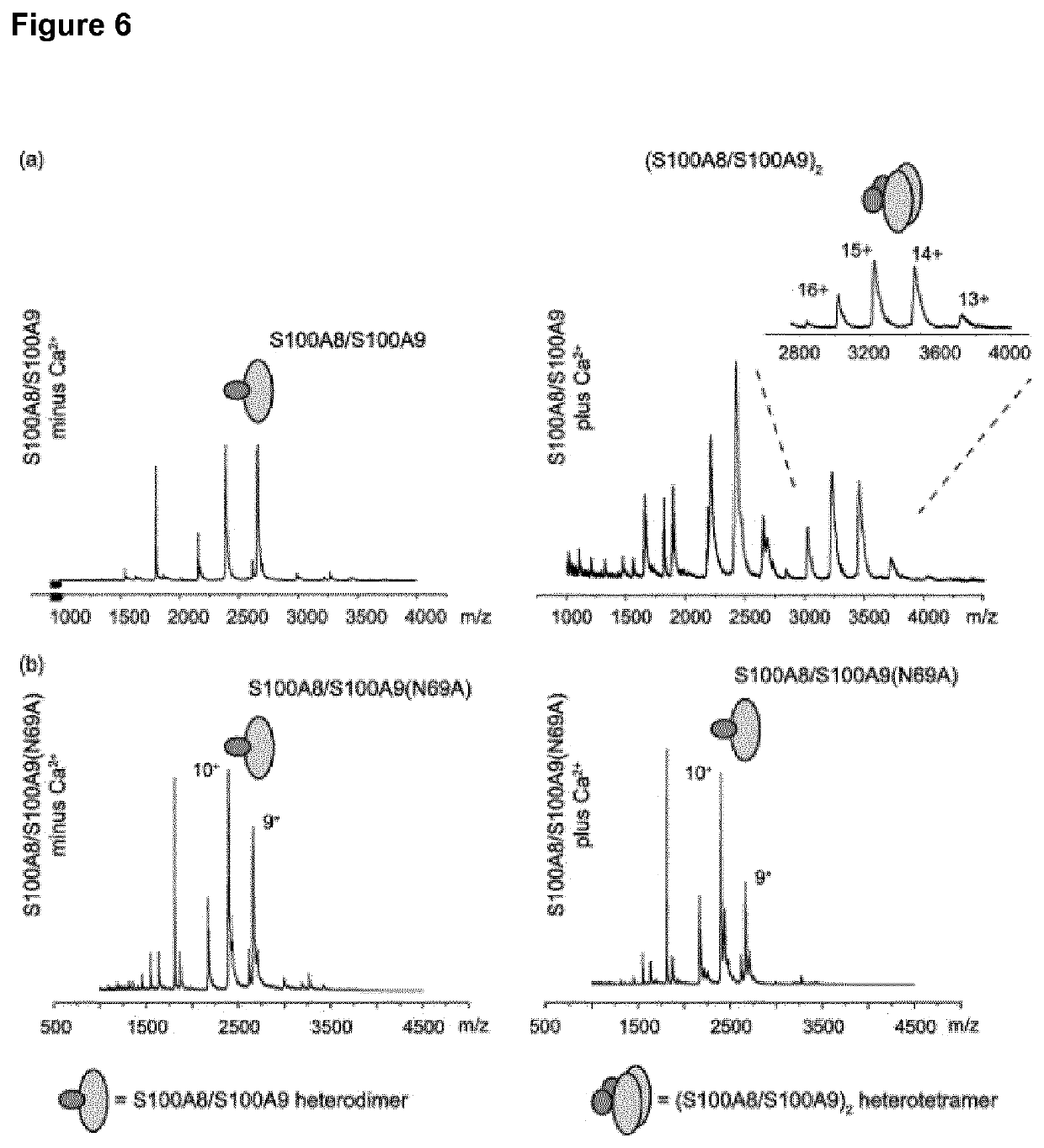 Complex-specific standardization of immunological methods for the quantification of S100A12