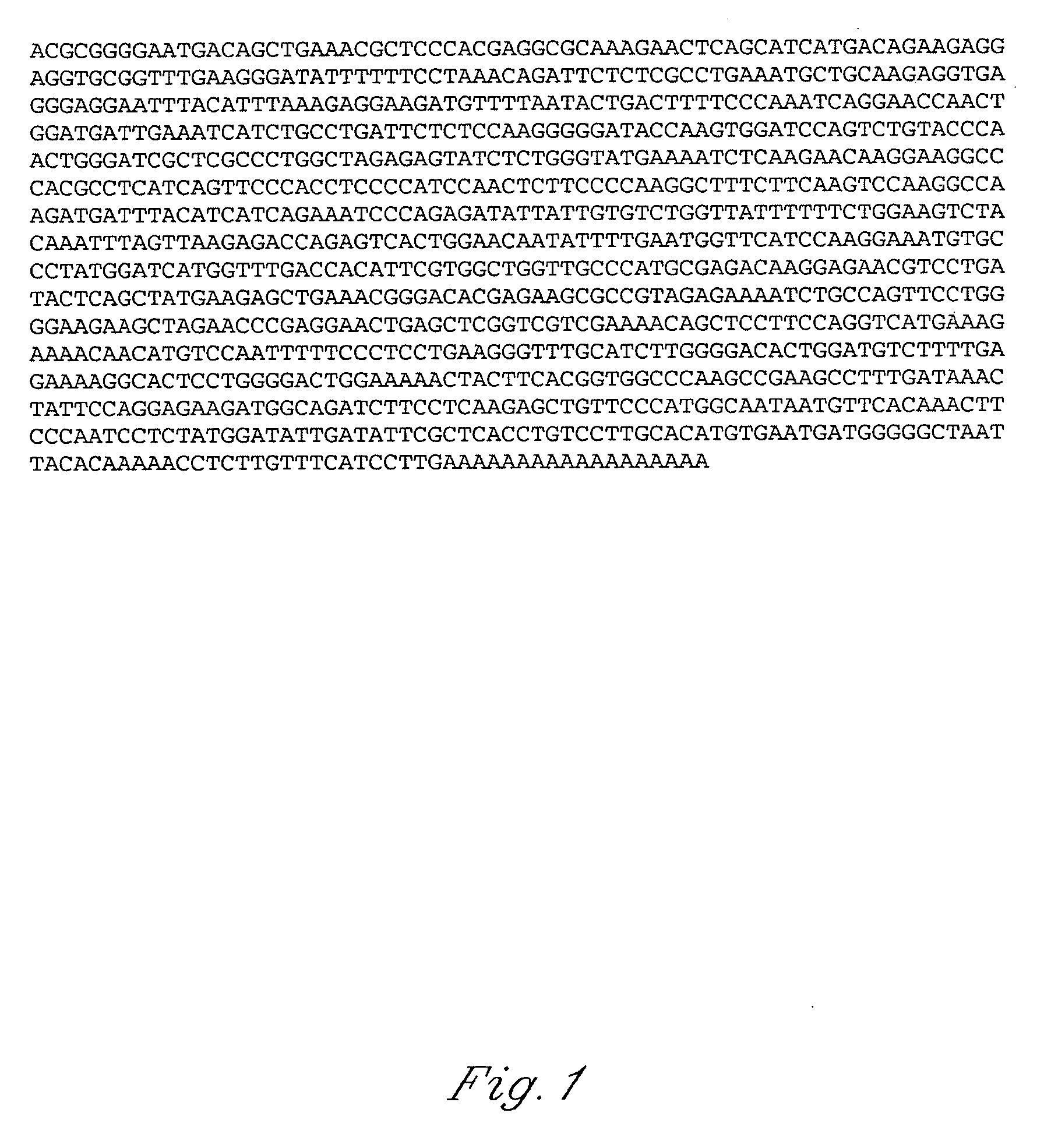 Porcine sulfotransferase 2A1 polynucleotide sequence, protein, and methods of use for same