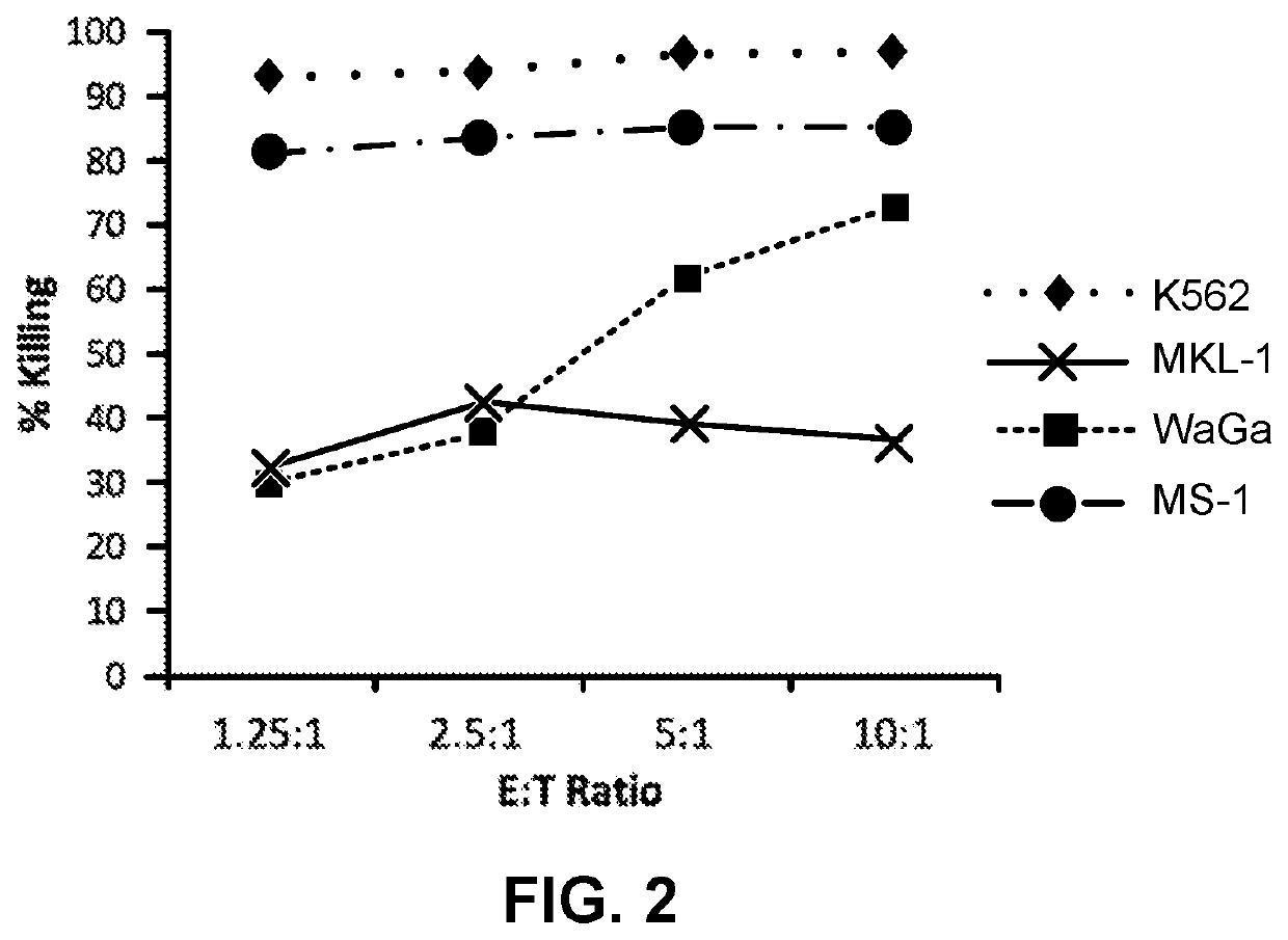 Nk-92 cells and il-15 agonist combination therapy