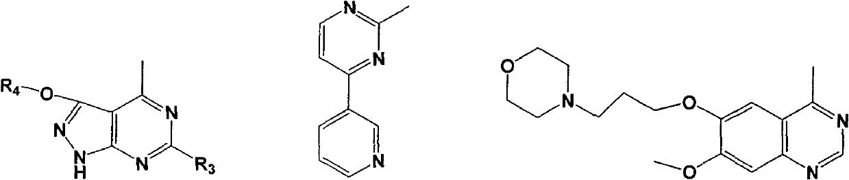 Isoalantolactone amino derivative and application of salt thereof in preparing anti-tumor medicament