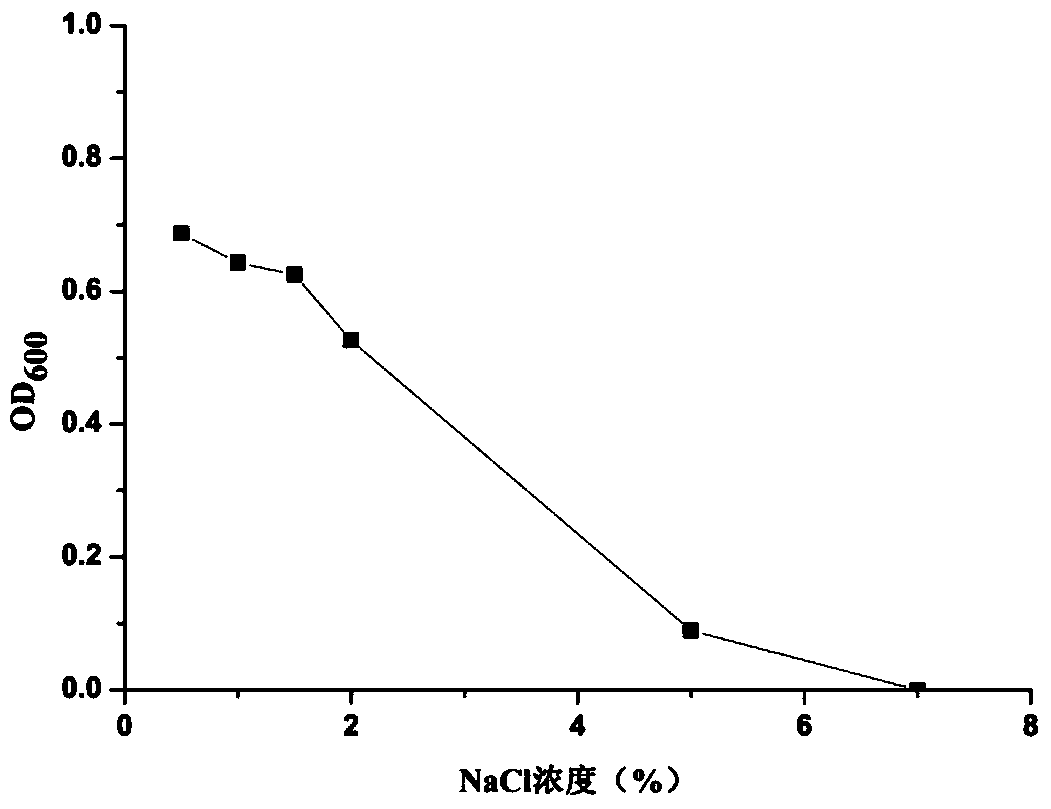 A kind of high-efficiency phosphorus-solubilizing rhizobia and its application