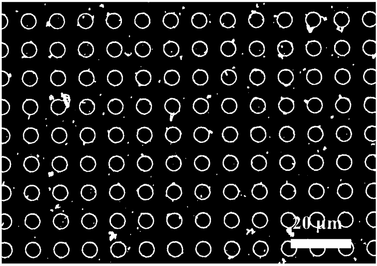 Method for building PPy (polypyrrole) thin film with multiple forms based on silicon template