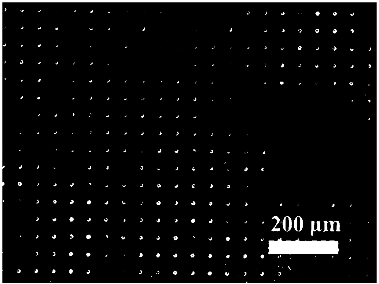 Method for building PPy (polypyrrole) thin film with multiple forms based on silicon template