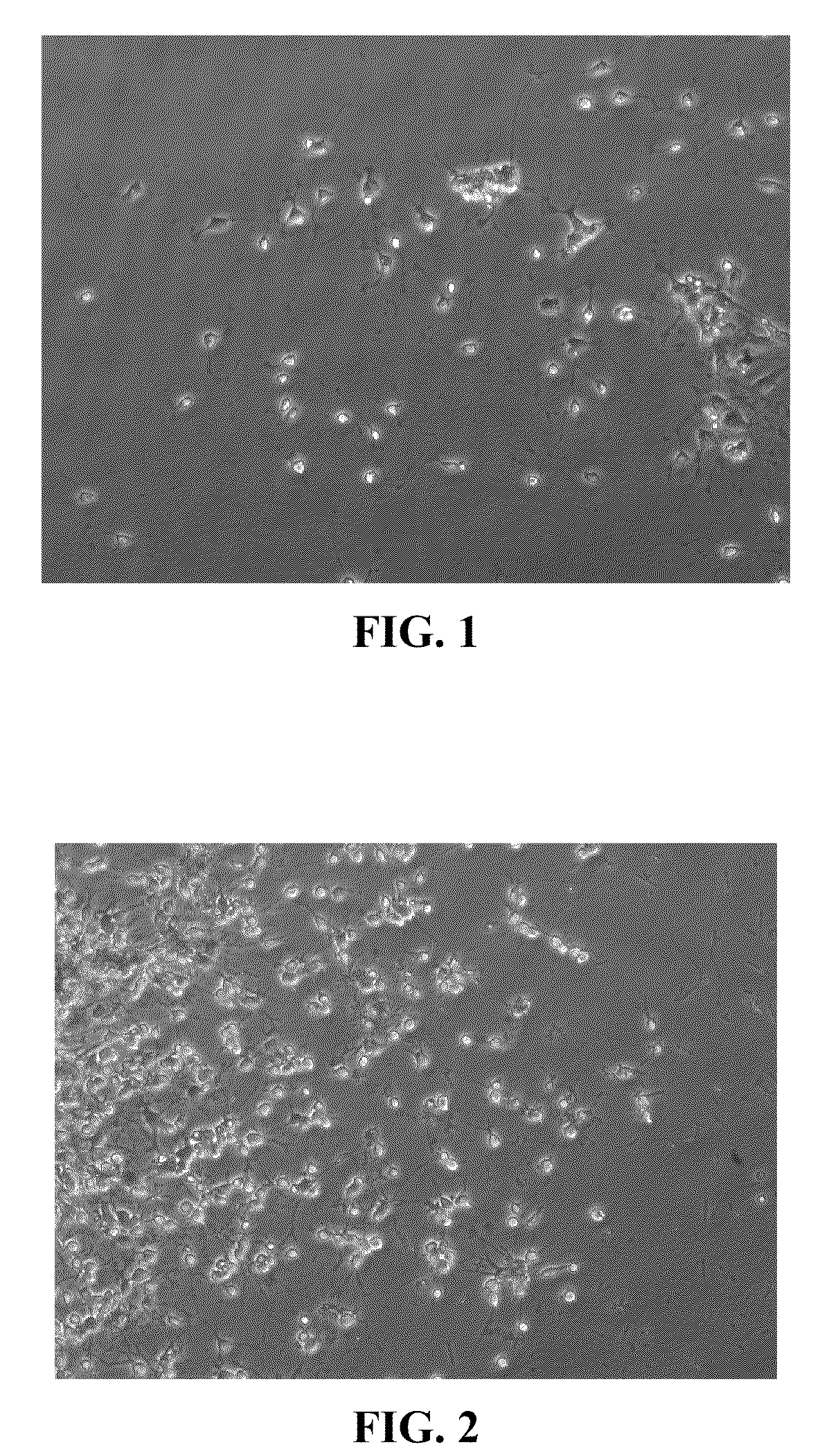 Methods for directing differentiation of clonogenic neural stem cells with coumarins