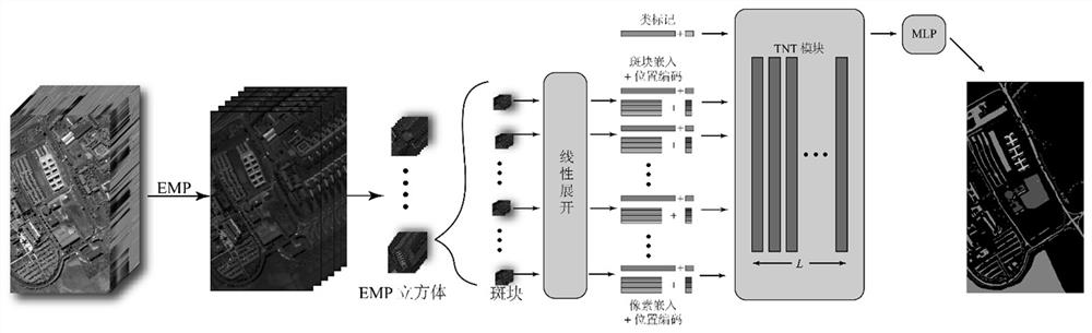 Hyperspectral image classification method and device combining EMP features and TNT module