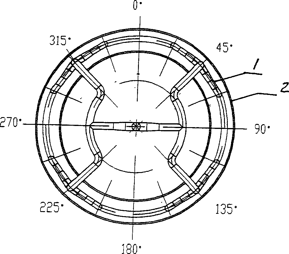 Reactor with multiple ring canal