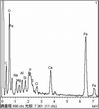 Preparation method of magnetic nanoparticle modified activated sludge adsorbing agent