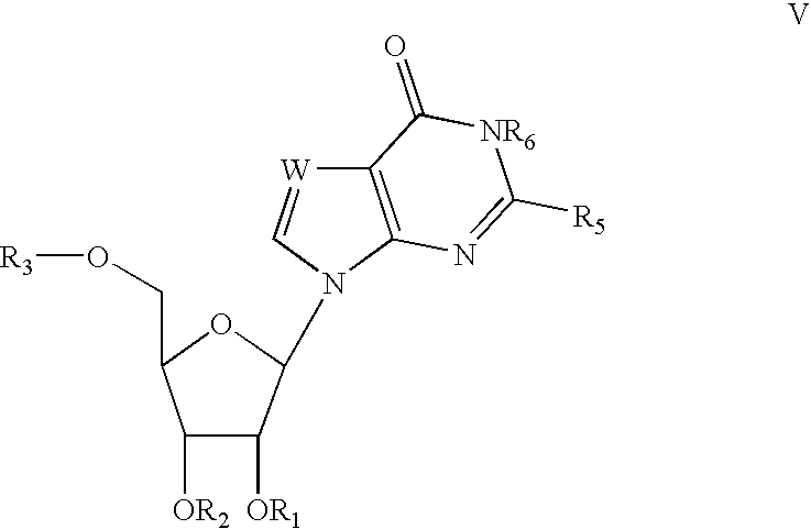 Process for the synthesis of 2'-o-substituted purines