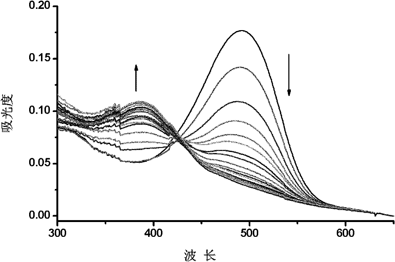Fluorescence chemical sensor and preparation method and application thereof