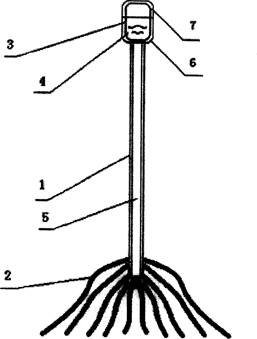 Ground disinfection method