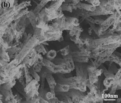 Preparation method of catalytic electrode for electrochemical synthesis of borohydride