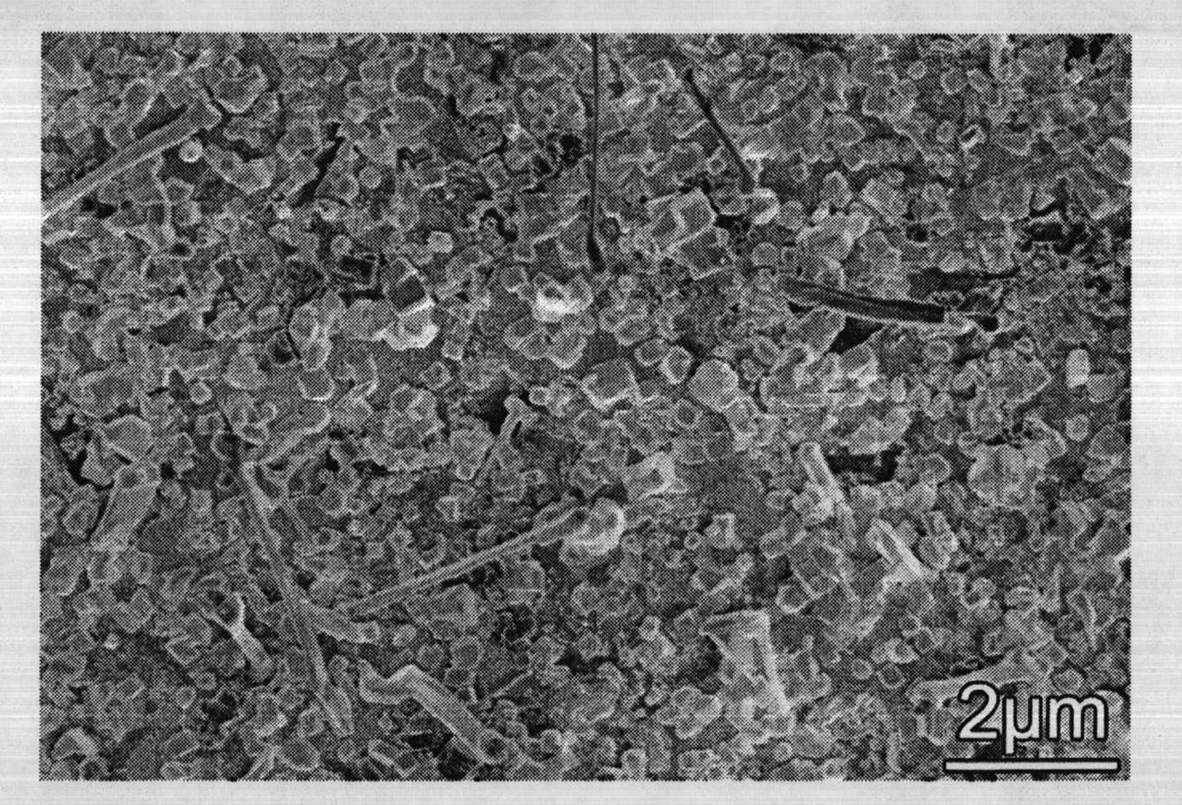 Lanthanum hexaboride nanowire and method for preparing same