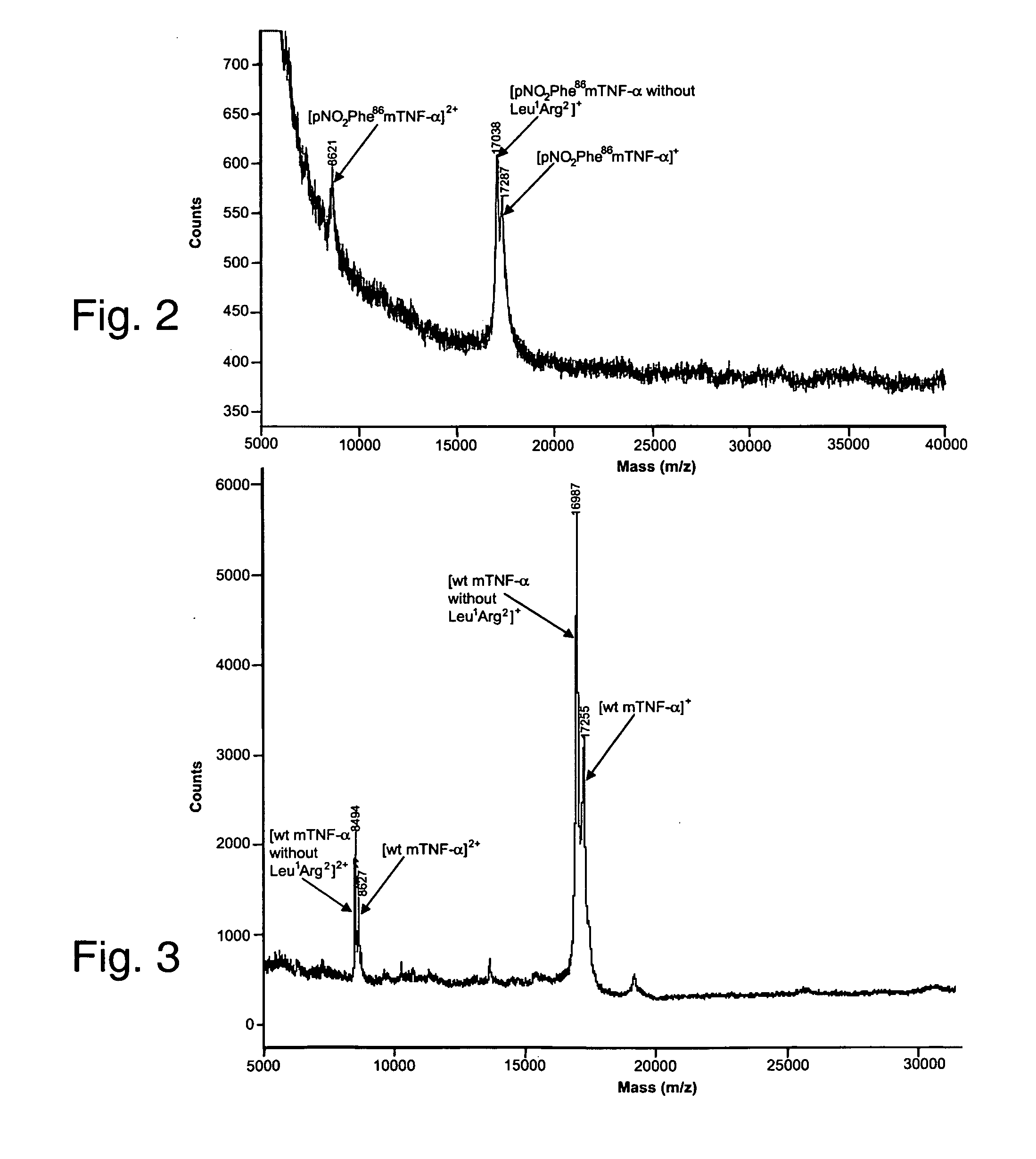 Breaking Immunological Tolerance with a Genetically Encoded Unnatural Amino Acid