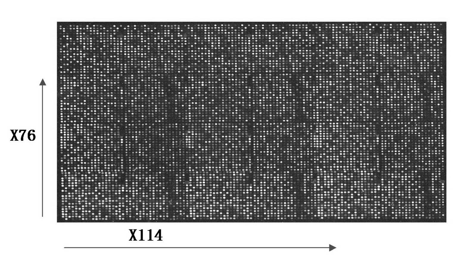 Tobacco glandular hair cDNA (complementary Deoxyribonucleic Acid) microarray for expression profile and preparation and application thereof