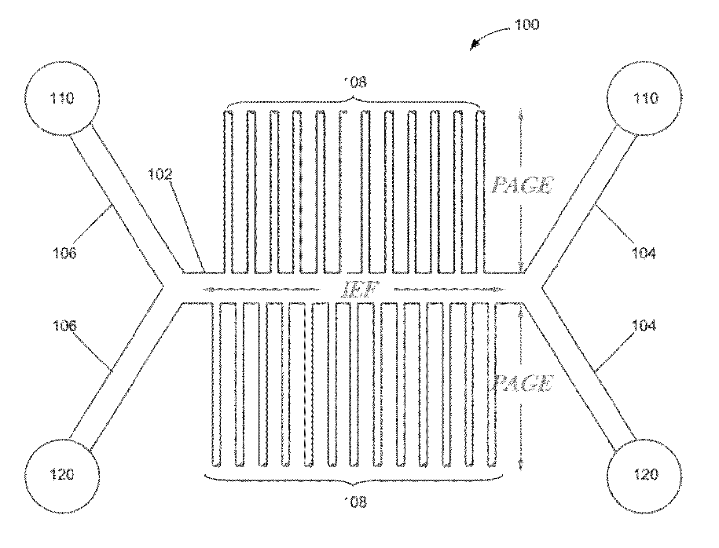 Microfluidic device having an immobilized pH gradient and PAGE gels for protein separation and analysis