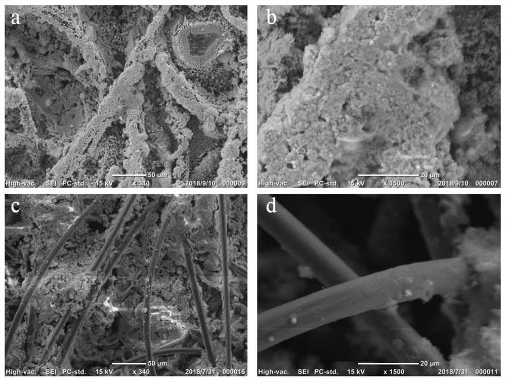 A kind of negative electrode of zinc-based battery and its preparation and application