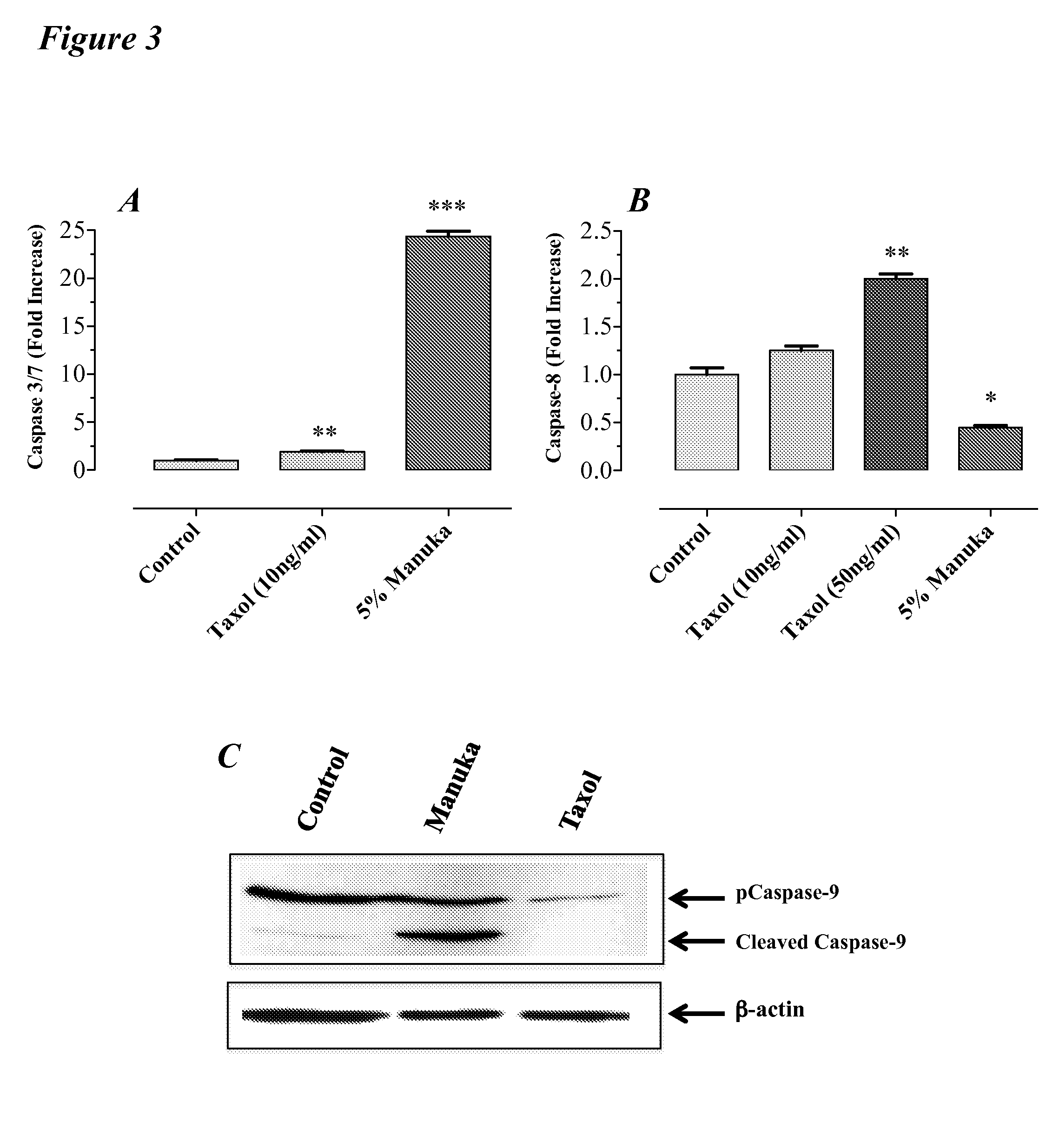 Method to Suppress the Systemic Toxicity of Chemotherapeutic Drugs