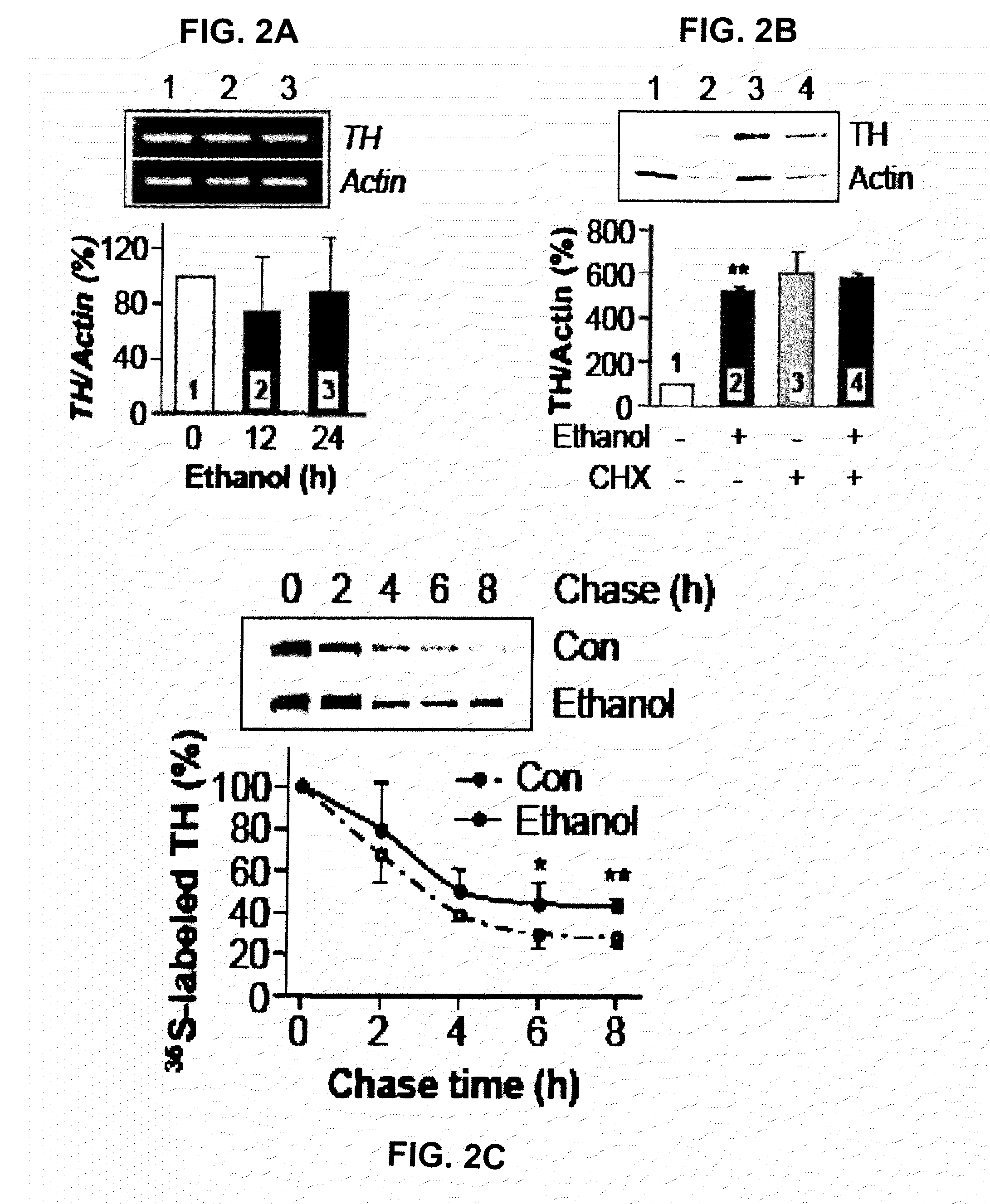 Methods and compounds for treatment or prevention of substance-related disorders
