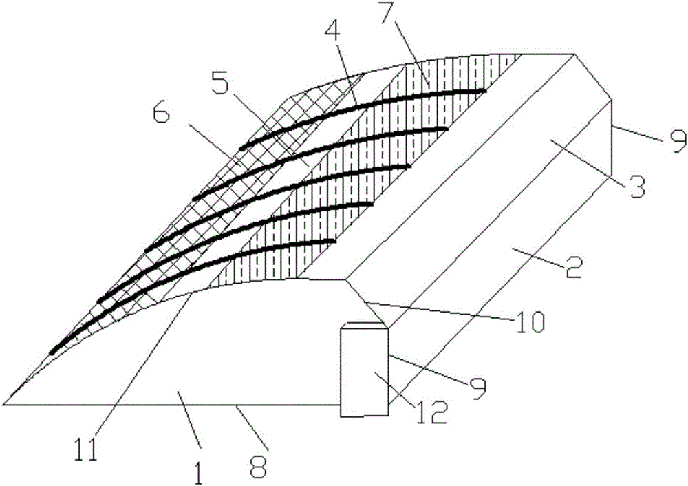 Greenhouse and method for planting winter jujube in greenhouse