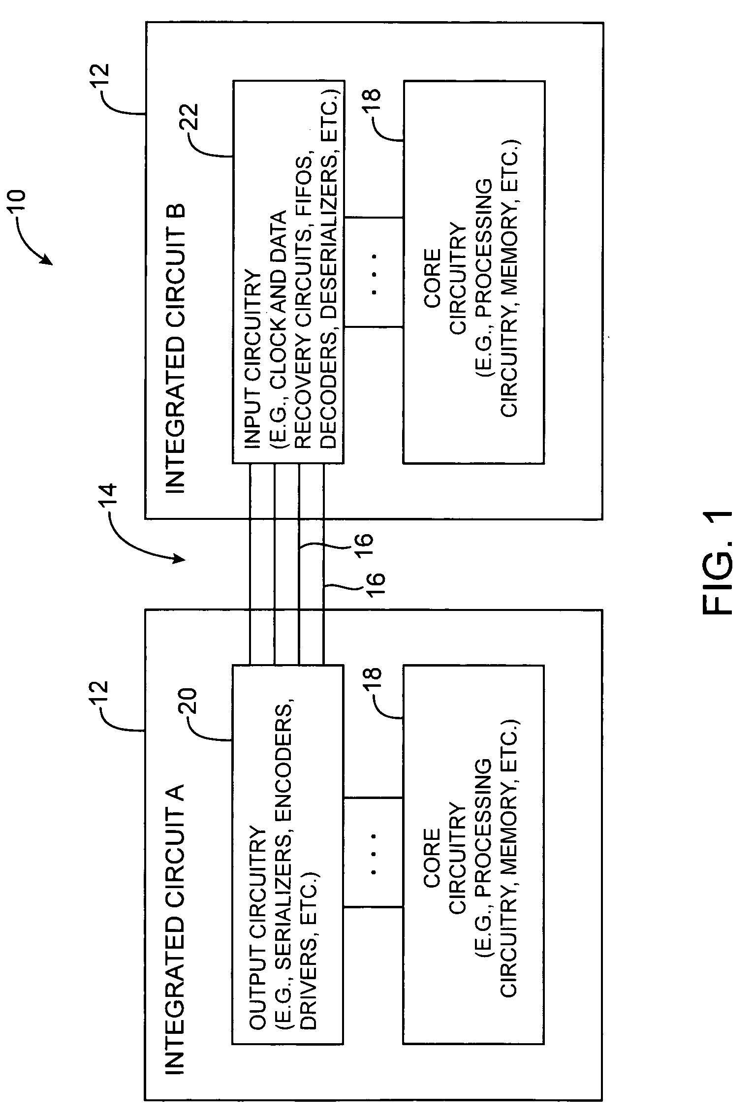 Process for producing dried, singulated fibers using steam and heated air