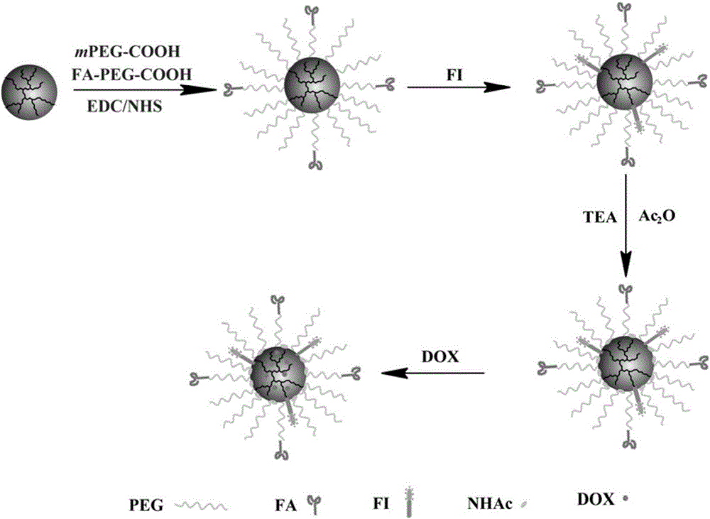 A method of loading doxorubicin through folic acid targeted multifunctional hyperbranched polyethylenimine