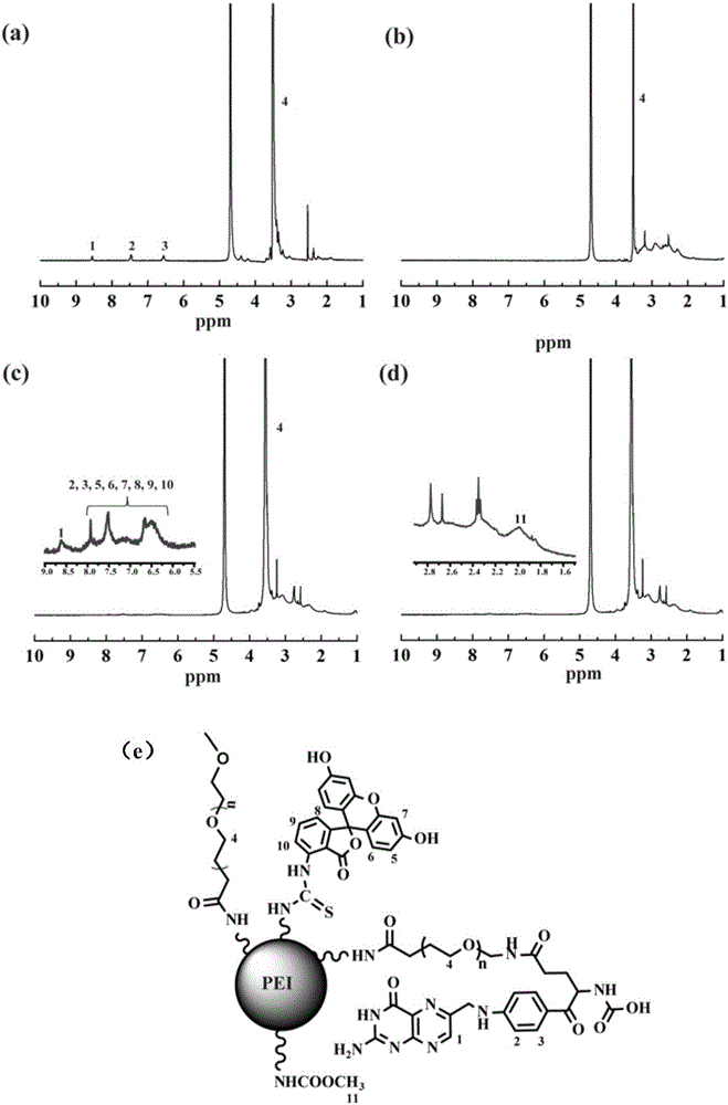 A method of loading doxorubicin through folic acid targeted multifunctional hyperbranched polyethylenimine