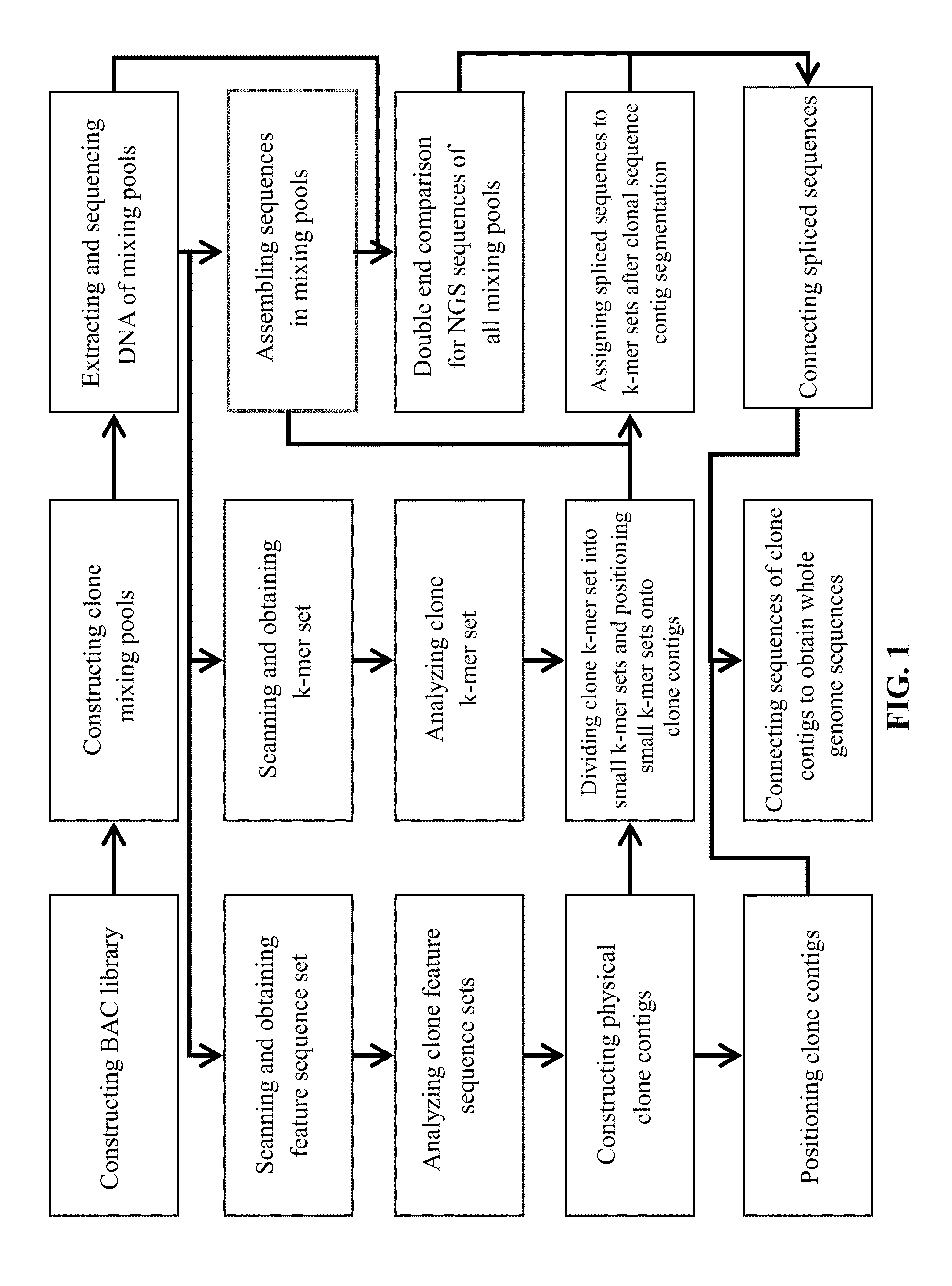 Method of whole-genome sequencing