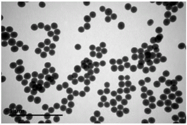 Preparation method of okadaic acid toxin molecularly imprinted-quantum dot polymer and application