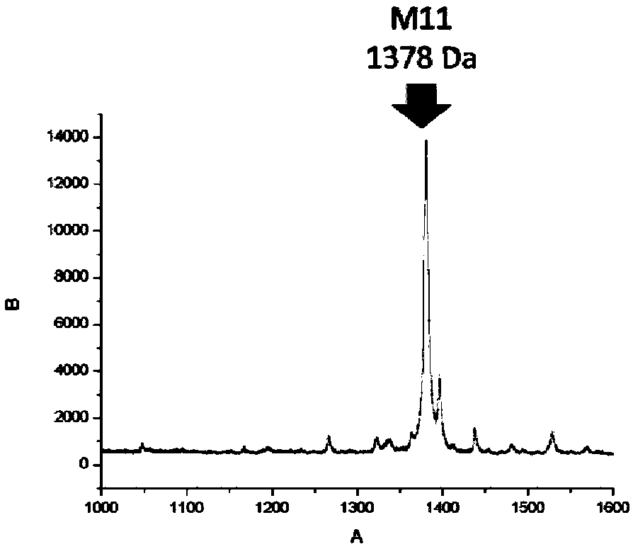 Peptide and preparation method and application thereof