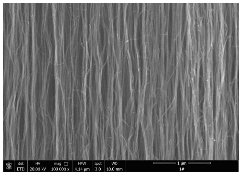 Preparation method of winding-free carbon nanotube for lithium ion battery