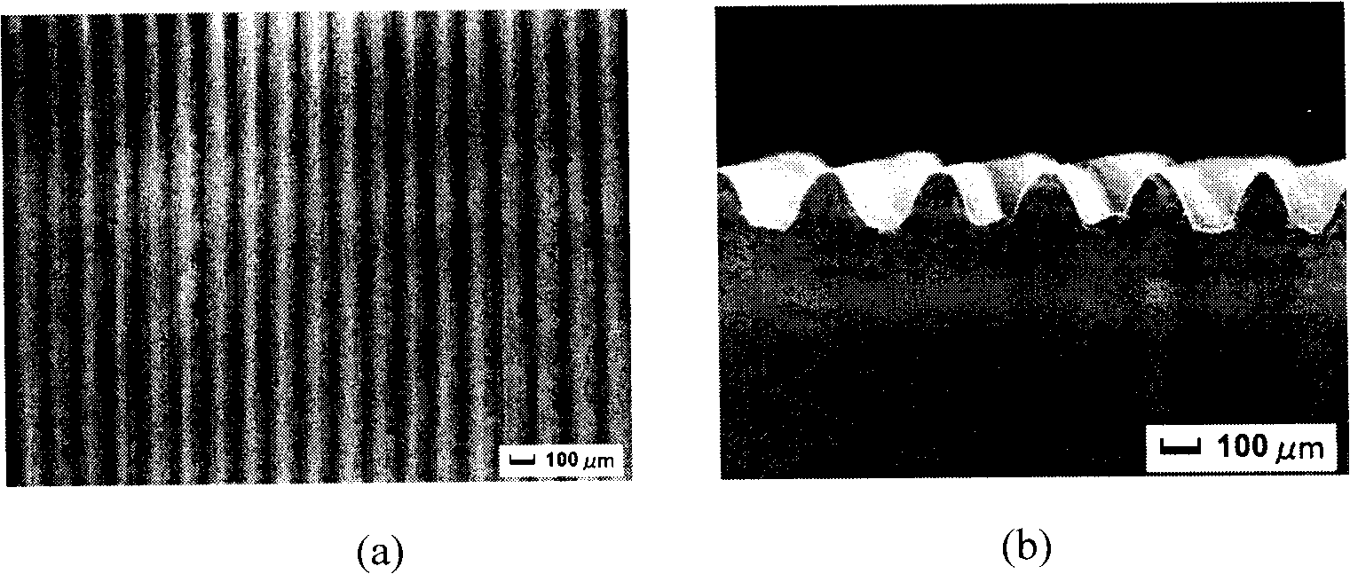 Preparation of micro-nano structure bionics valve, surface congeal-resistance and drag reduction testing method thereof