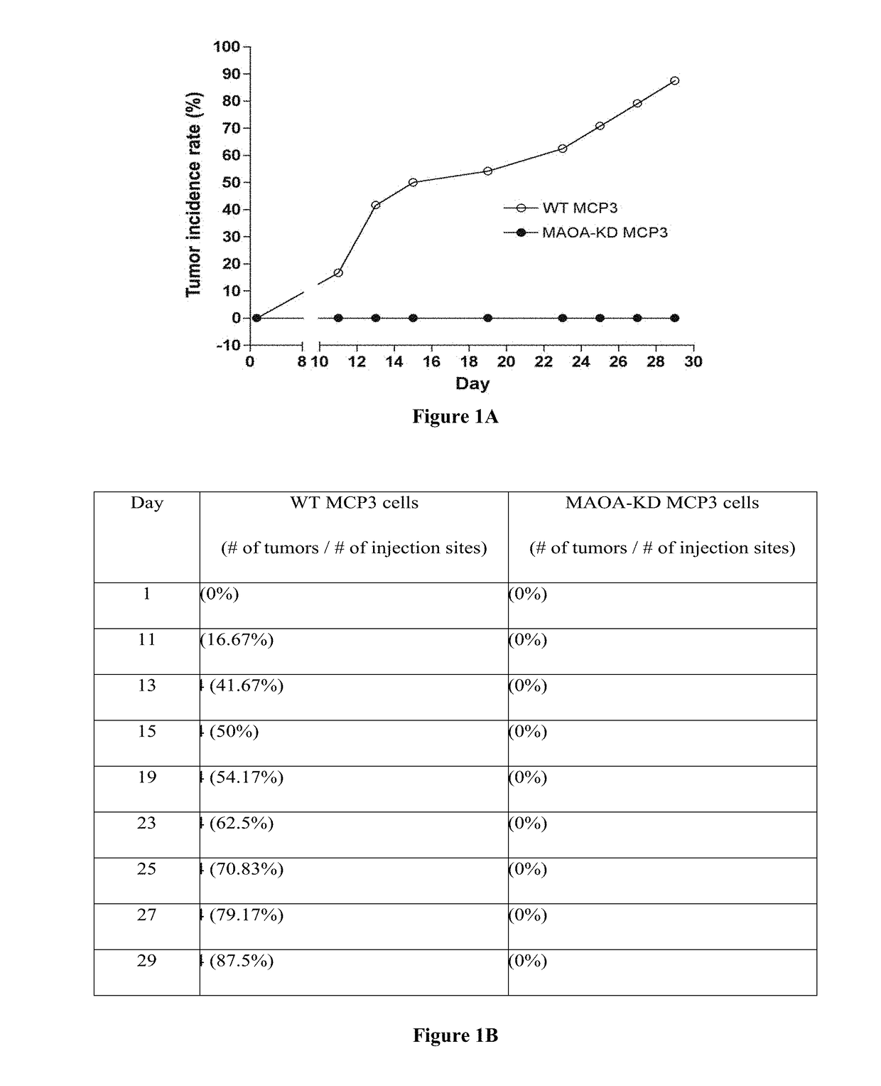 Monoamine oxidase inhibitors and methods for treatment and diagnosis of prostate cancer