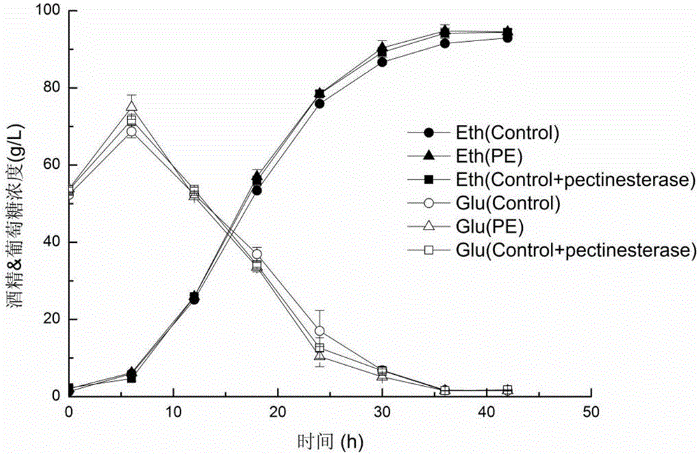 Saccharomyces cerevisiae engineered strain expressing pectin esterase and application of strain