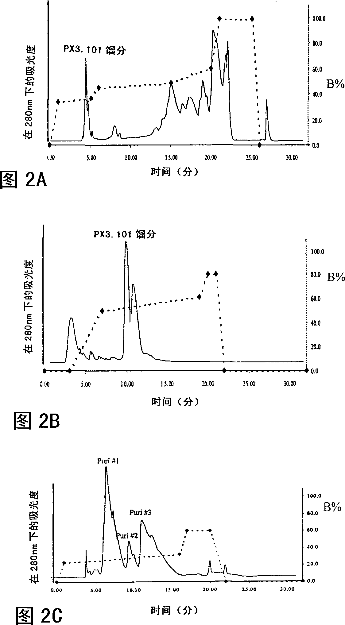 Useful properties of a bee venom protein and gene encoding same