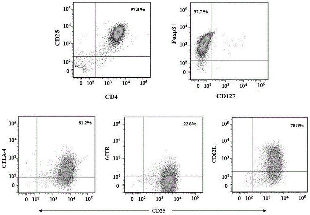 A kind of adult regulatory T cell in vitro expansion medium and using method thereof