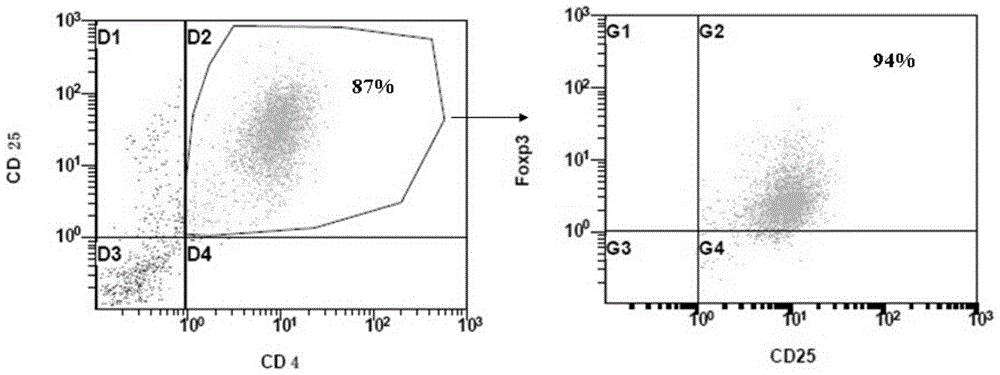 A kind of adult regulatory T cell in vitro expansion medium and using method thereof